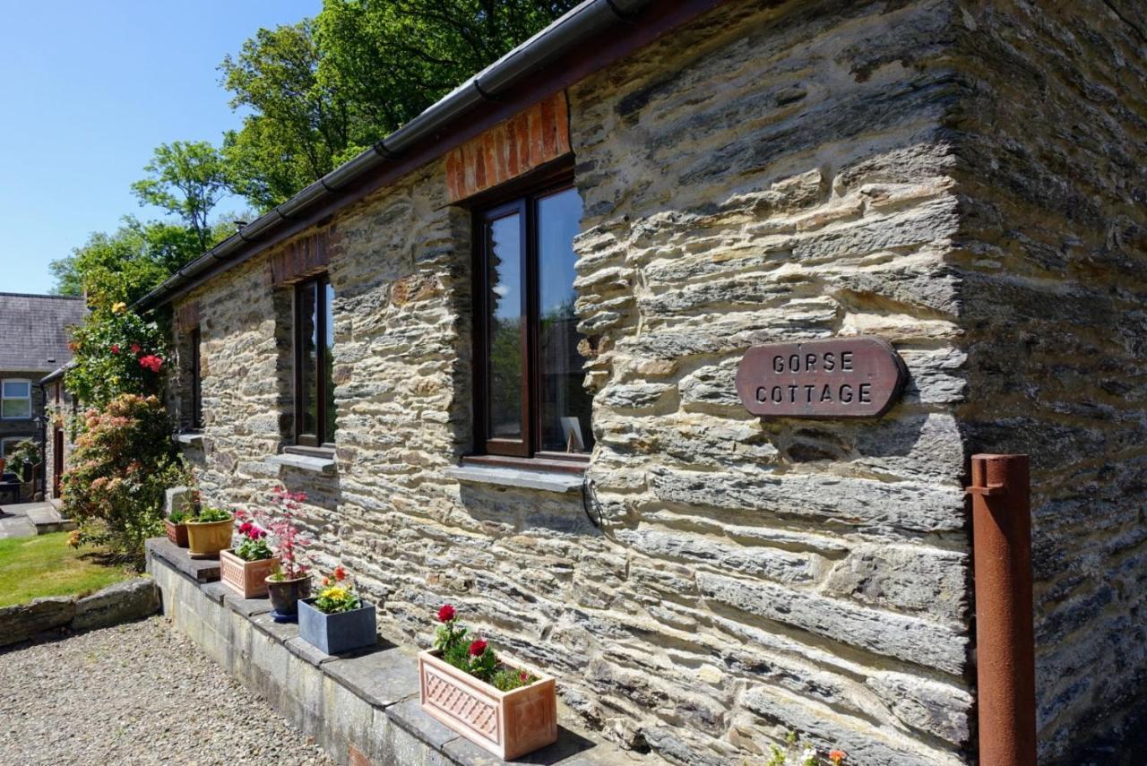 Troedyrhiw Holiday Cottages Кардиган Экстерьер фото